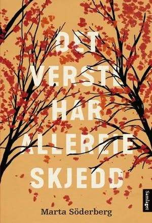 Omslag: "Det verste har allereie skjedd : roman" av Marta Söderberg